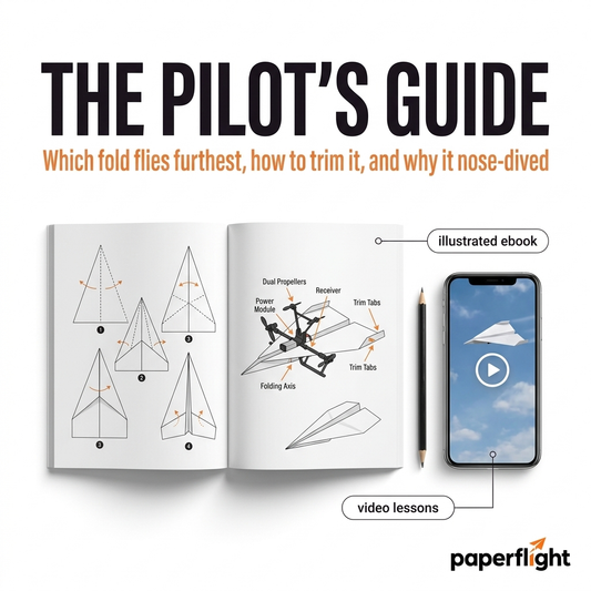 The Pilot's Guide - (E-Book/ Video)